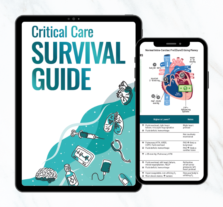 PCCN and Critical Care eBooks and Digital Downloads - Nicole
